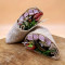 Wrap Vitello Tonnato