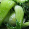 Green Bok Choy