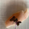 Binncho Maguro/ Albacore Nigiri