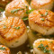 M12. Scallops (1/2 Lb)