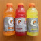 Gatorade (20 Oz)