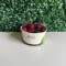 Wildberry Oatmeal