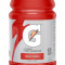 Gatorade Thirst Quencher Fruit Punch 20 Oz