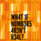 1. What If Numbers Aren't Real?