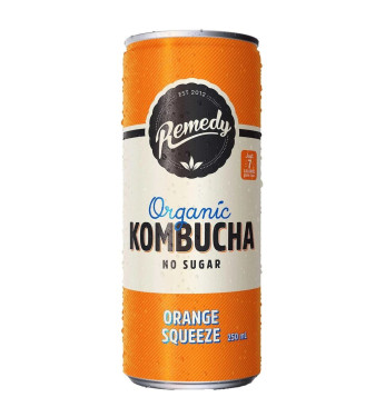 Avhjälpa Kombucha