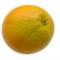 Navel orange