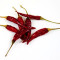 Dried red chile