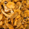 Chanterelle mushrooms