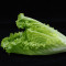 Romaine